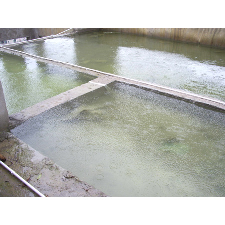 Diatomite used in wastewater treatment project